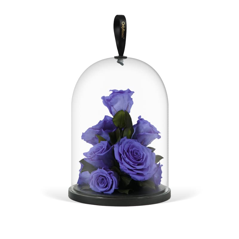 Infinite Rose Jewel main image 0